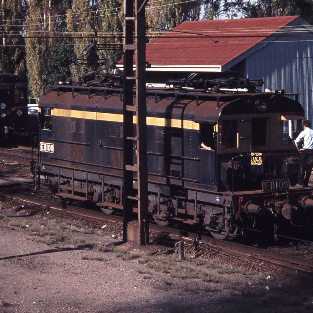 Heidelberg Shunter
