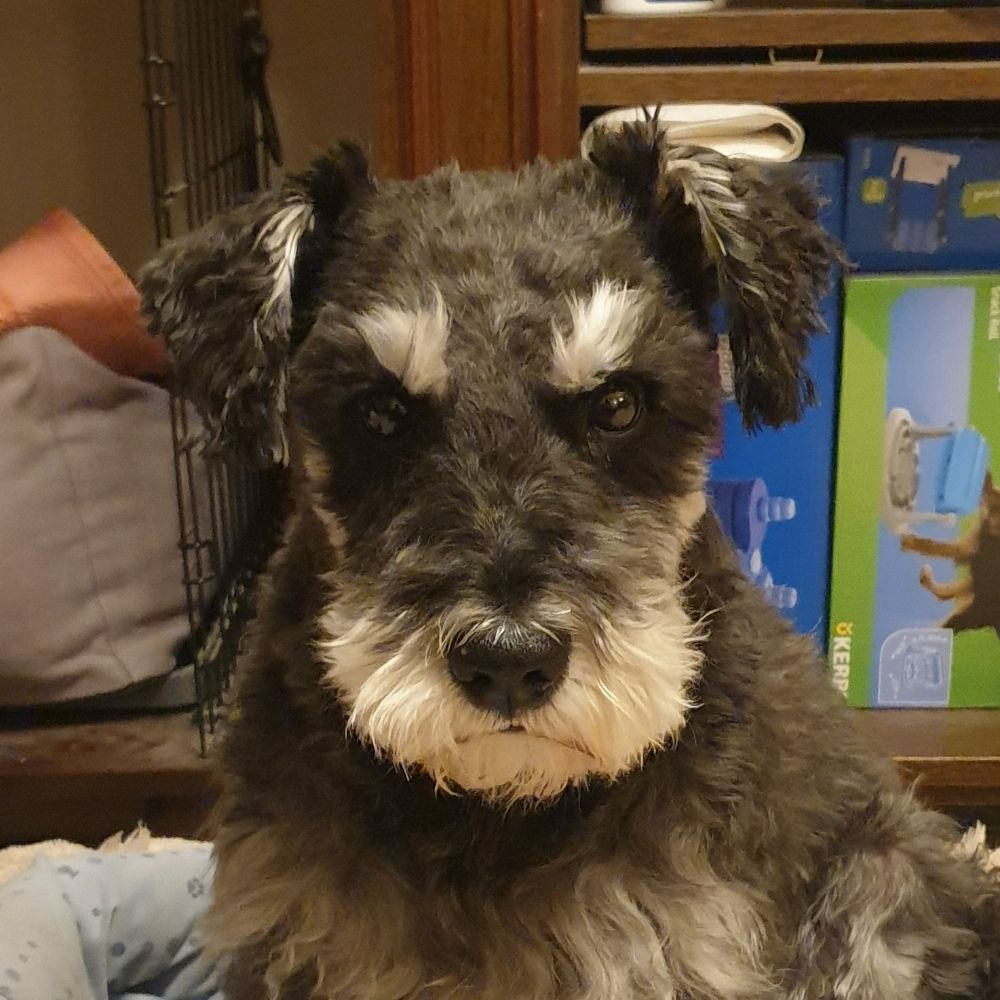 houtchou.bsky.social