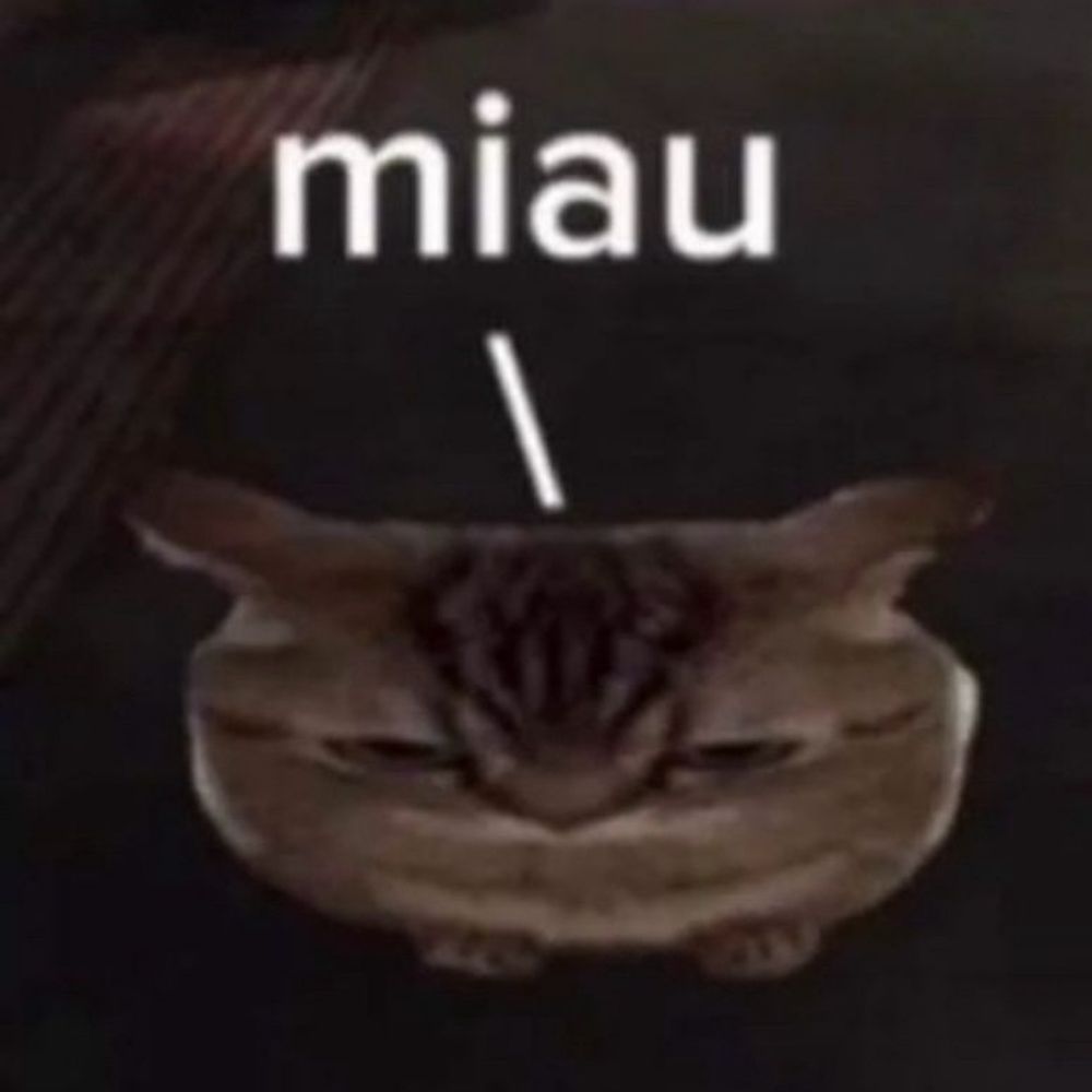 ☯