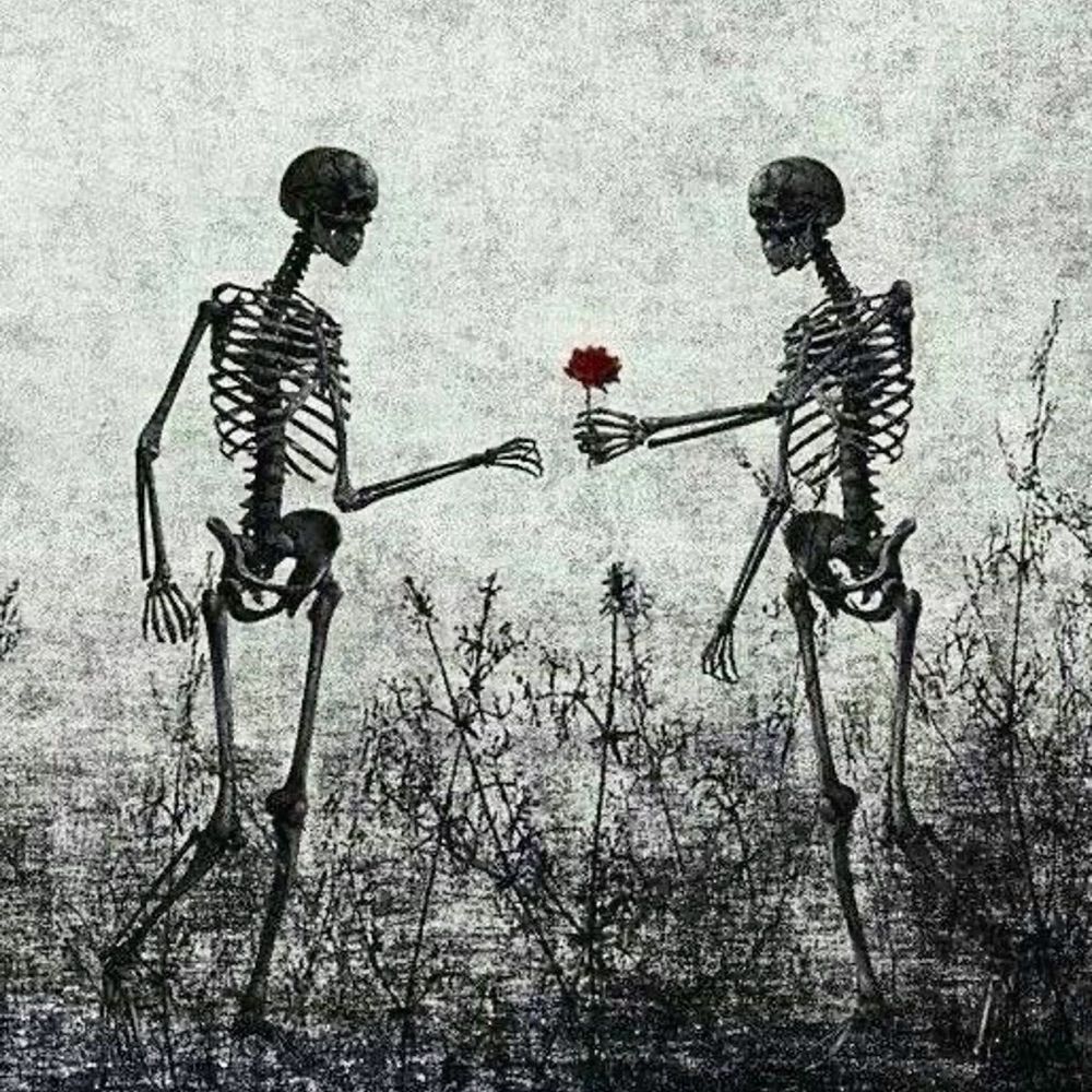 Skelly - EDSKY🫐