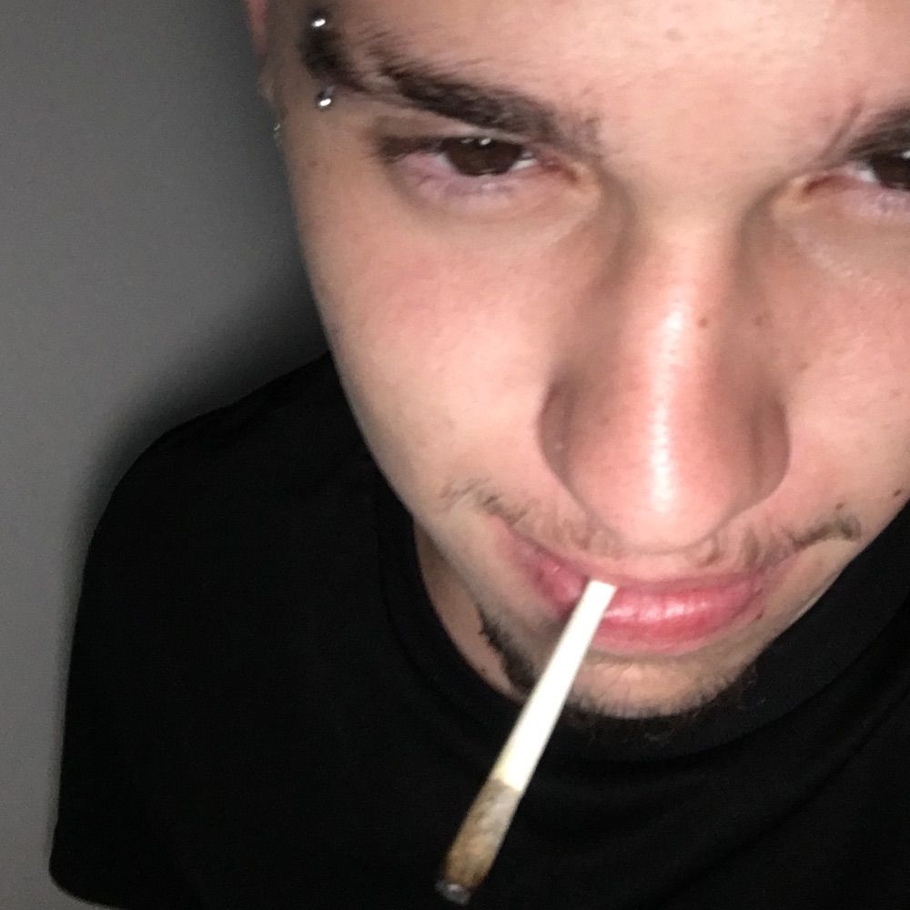 chavari 🍁