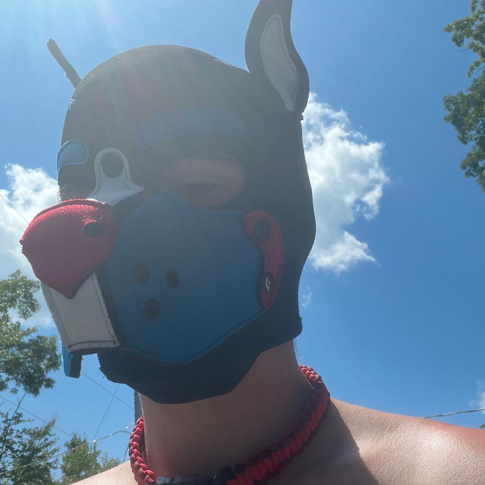 Pup Strykr