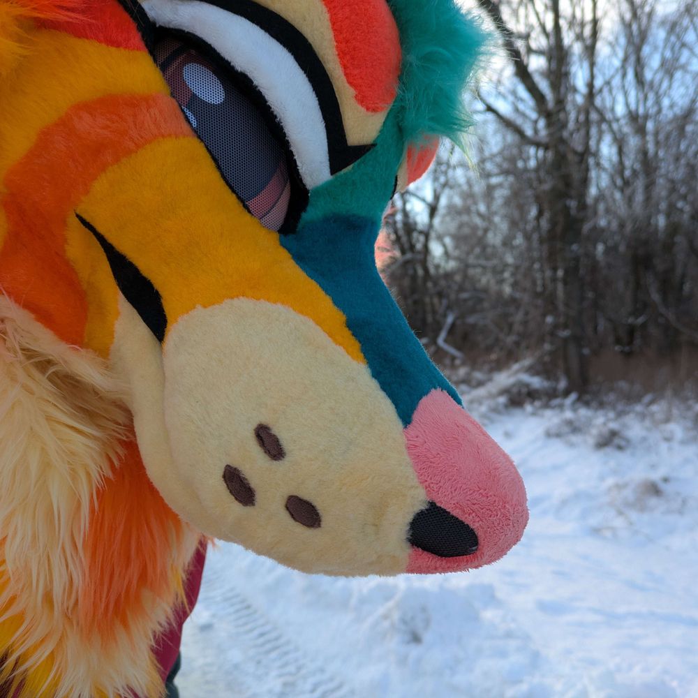 Canis Lupus🔜TFF🔜FWA