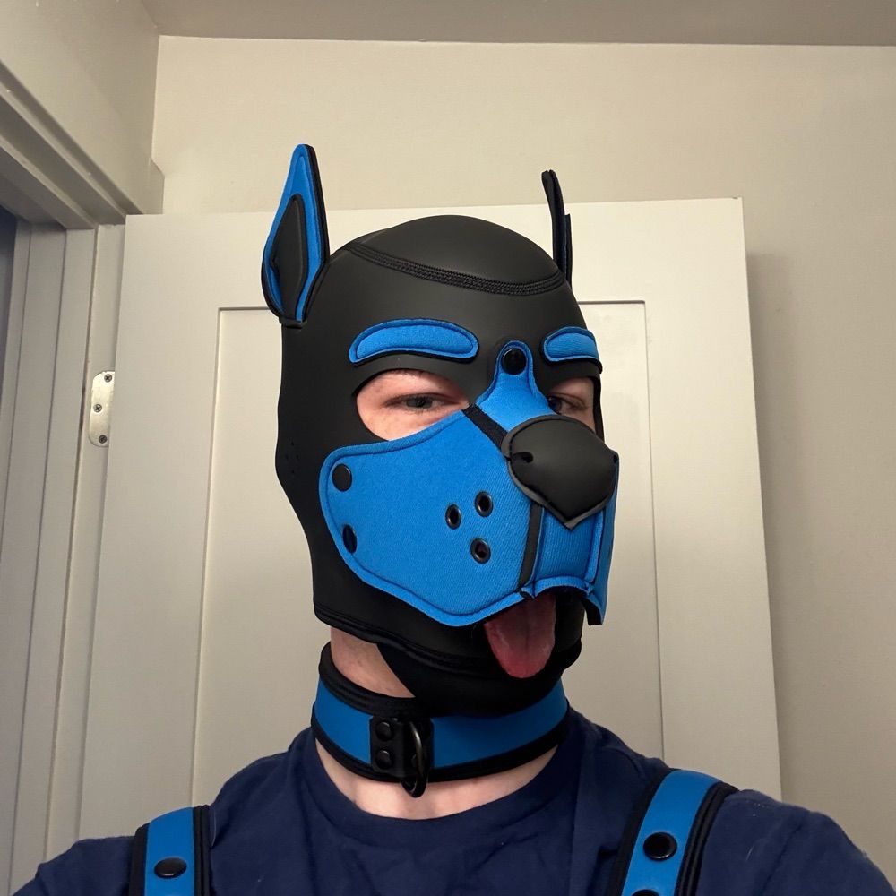 Echo