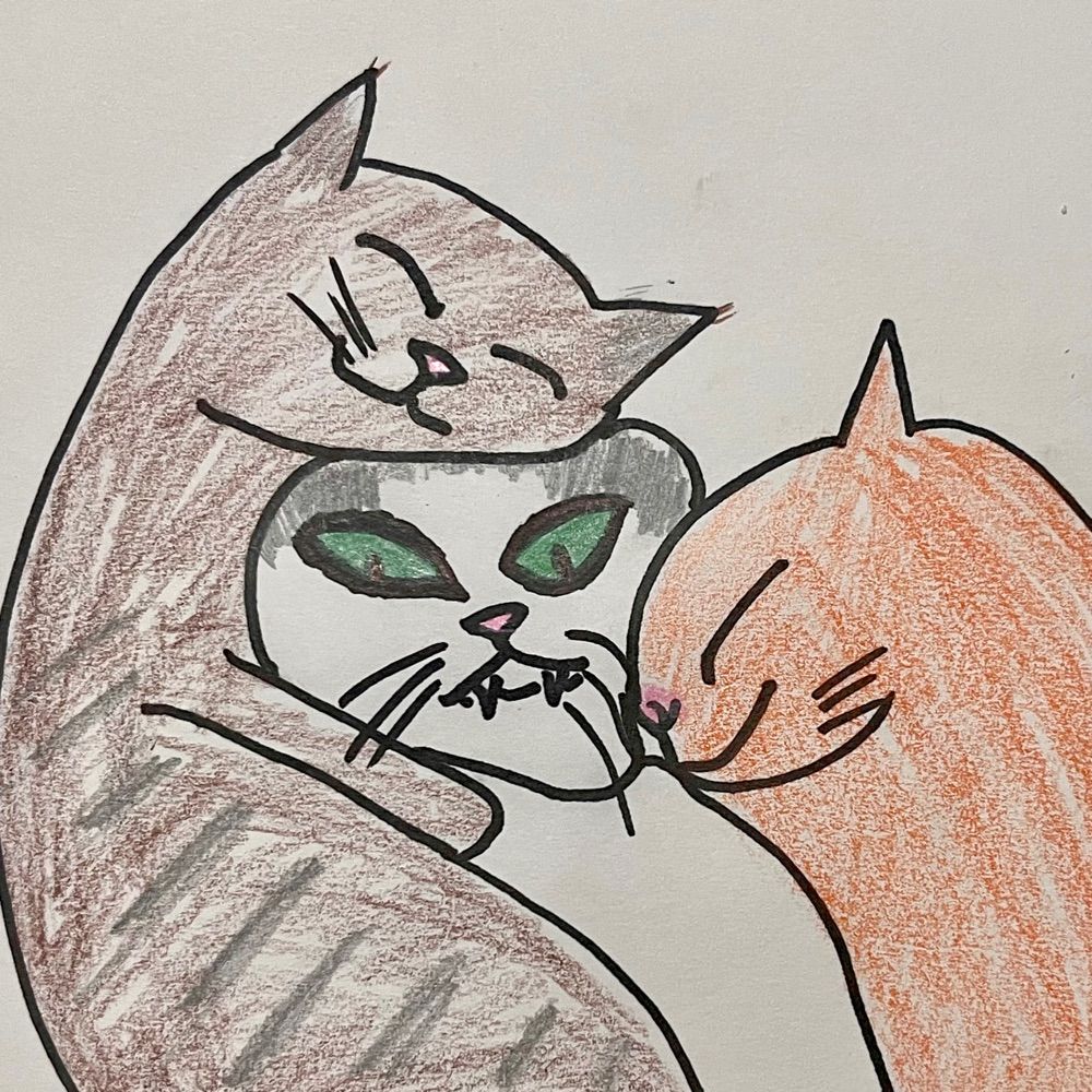 灵魂辱猫大师