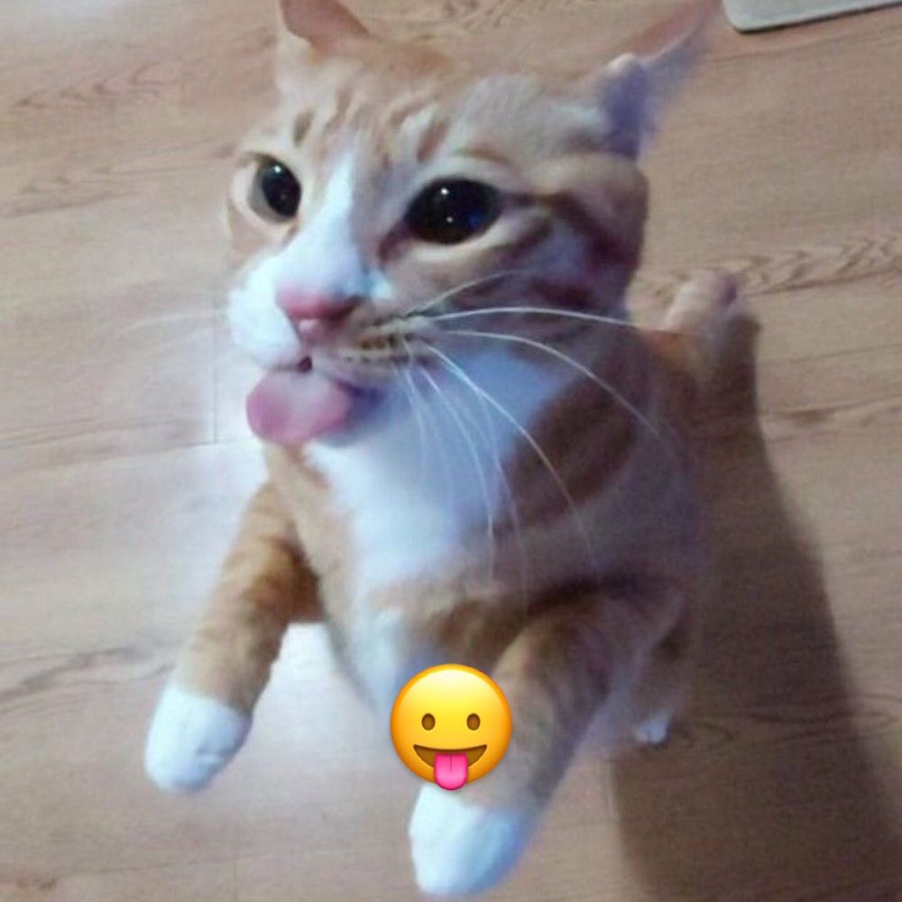 Frank 