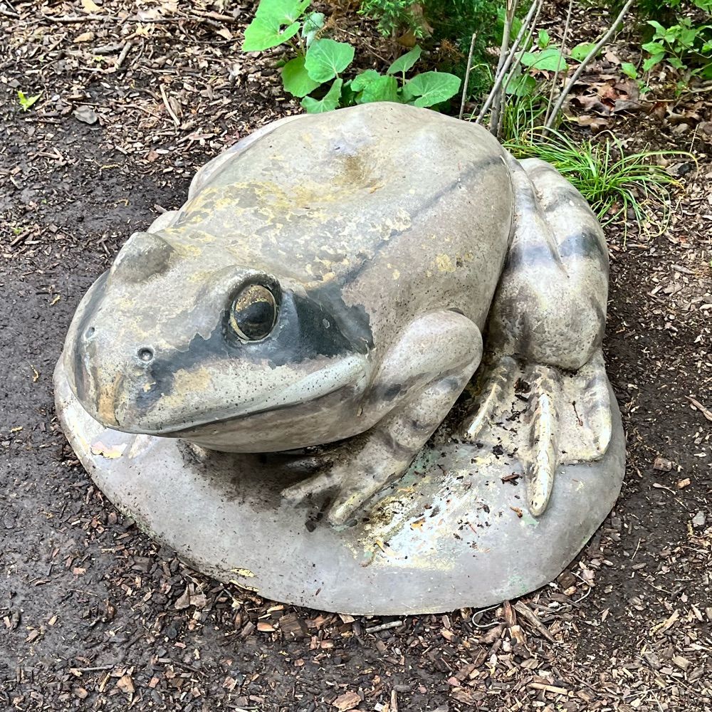Big Frog Energy