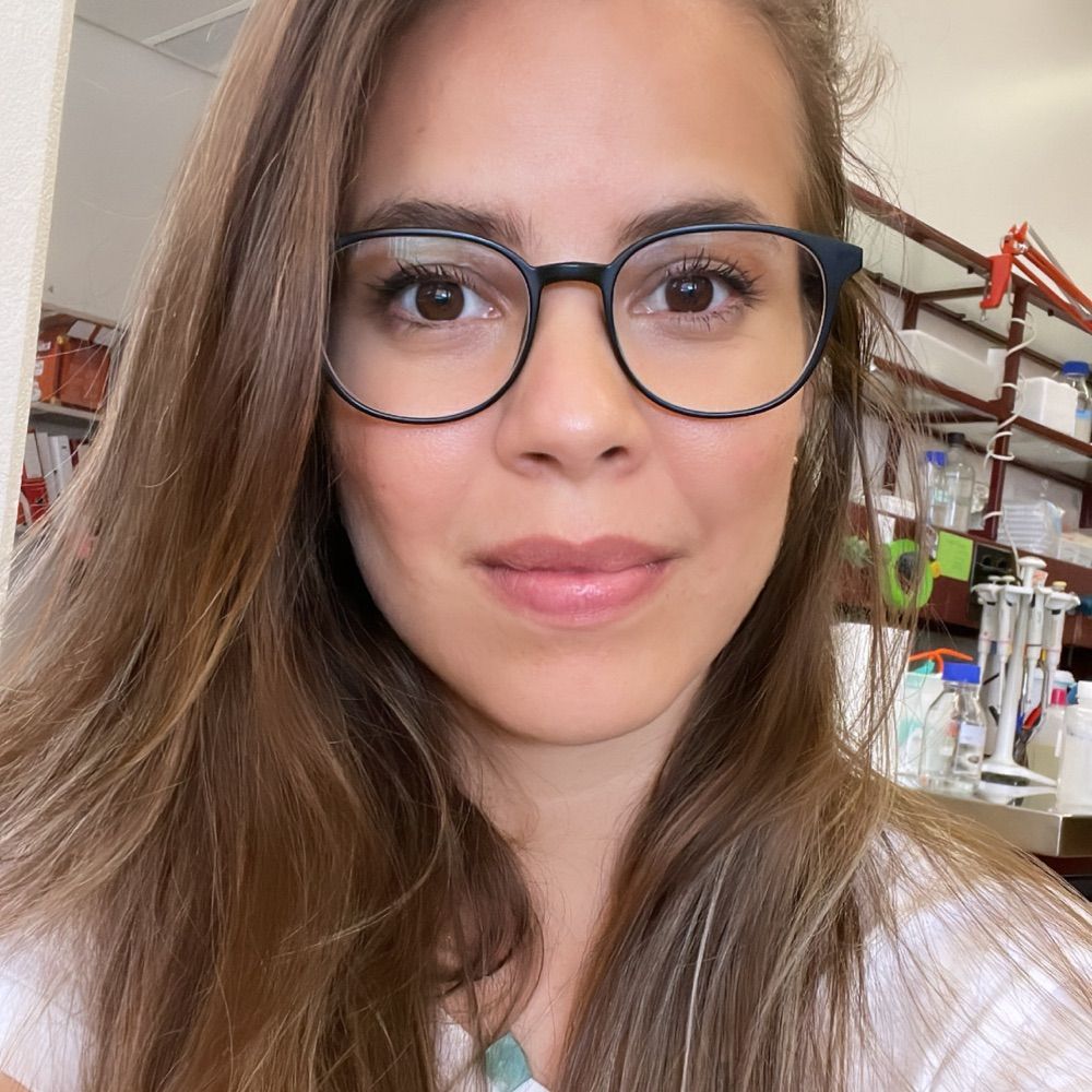 Pryscila Teixeira, PhD 🥦🧠