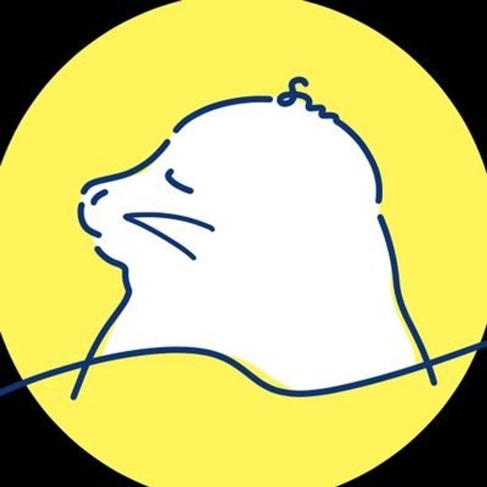 8m