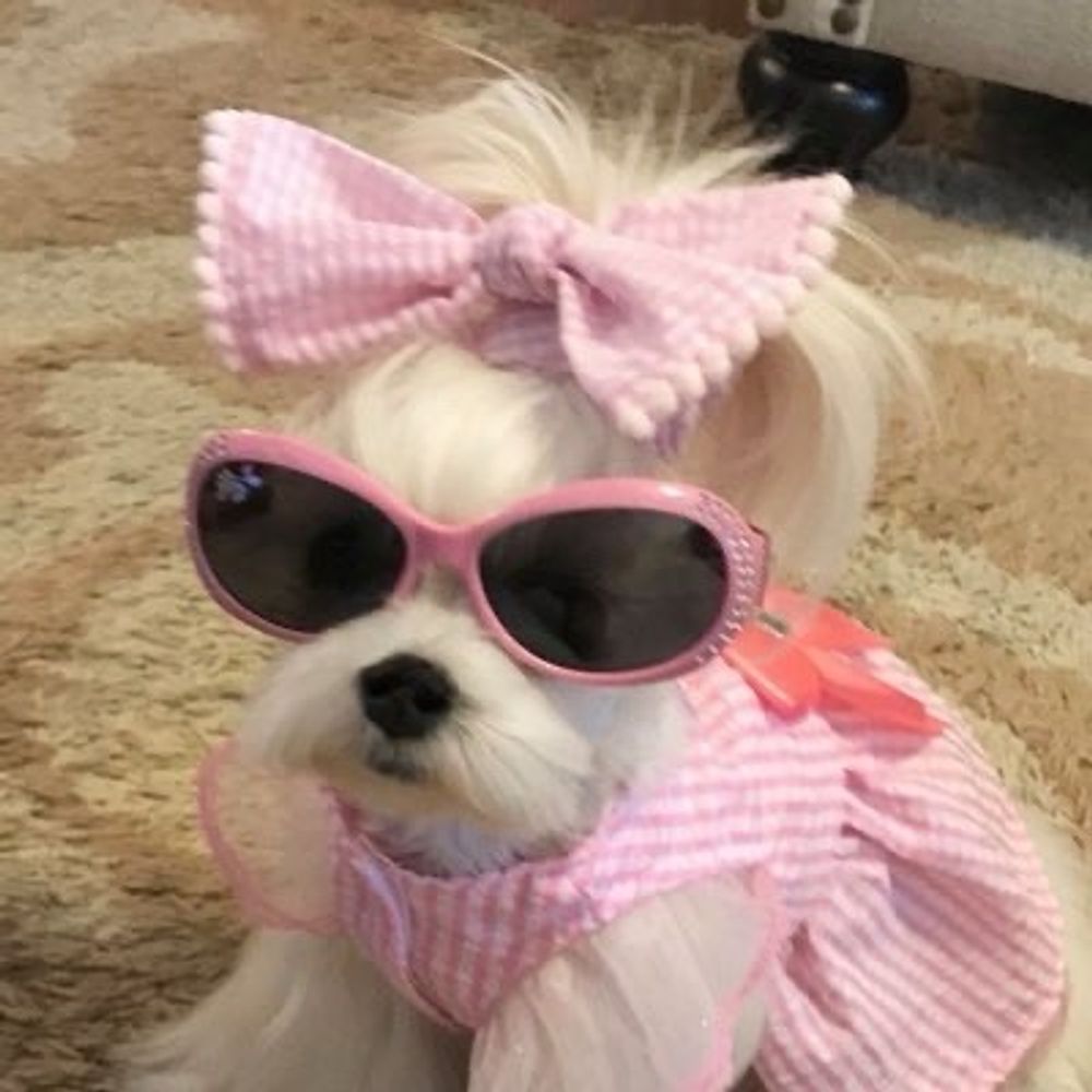 🍓