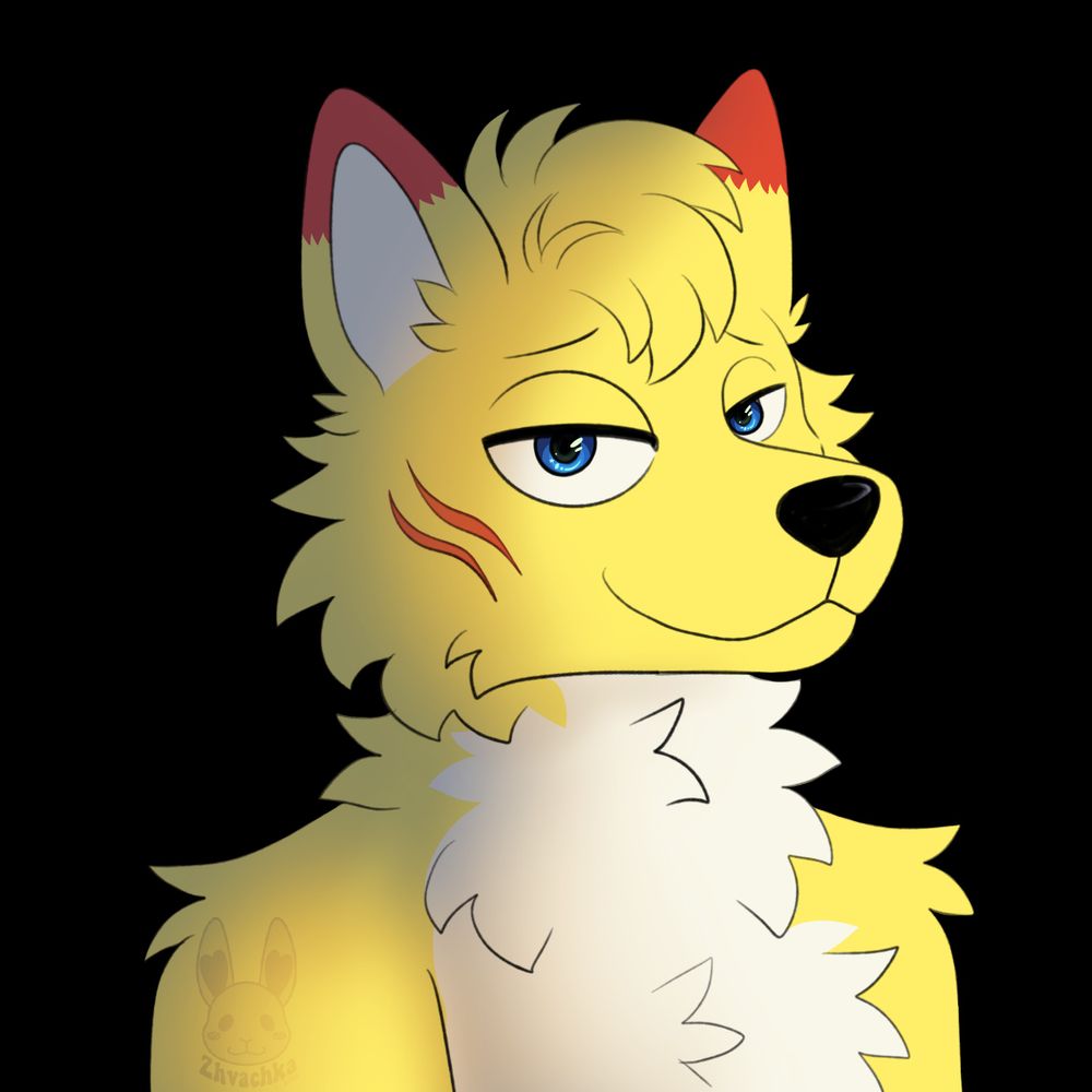 Yellow regulus connoisseur