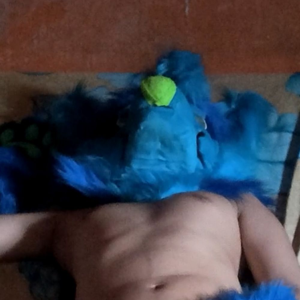 ElcoManfard