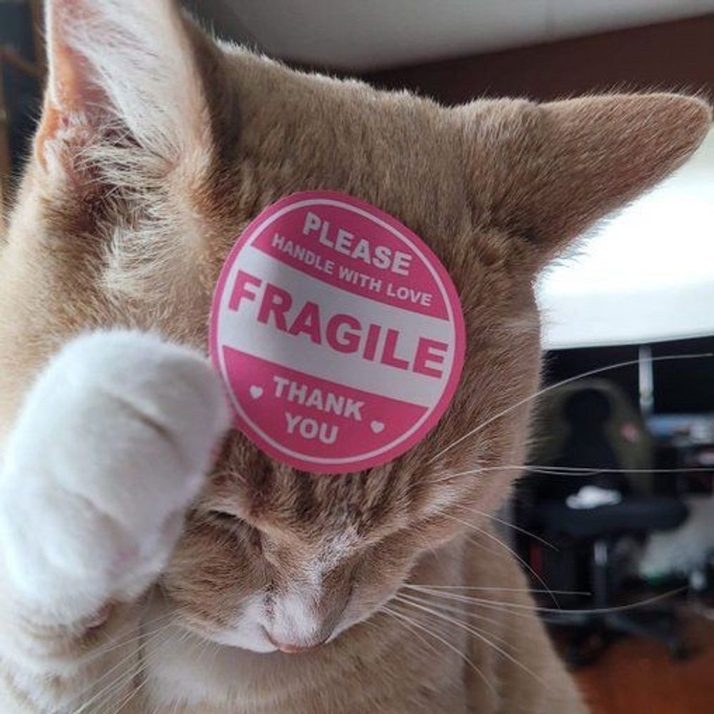 NyxieKitty