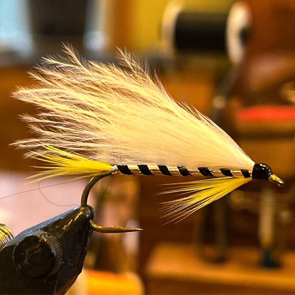 The FlyAngle