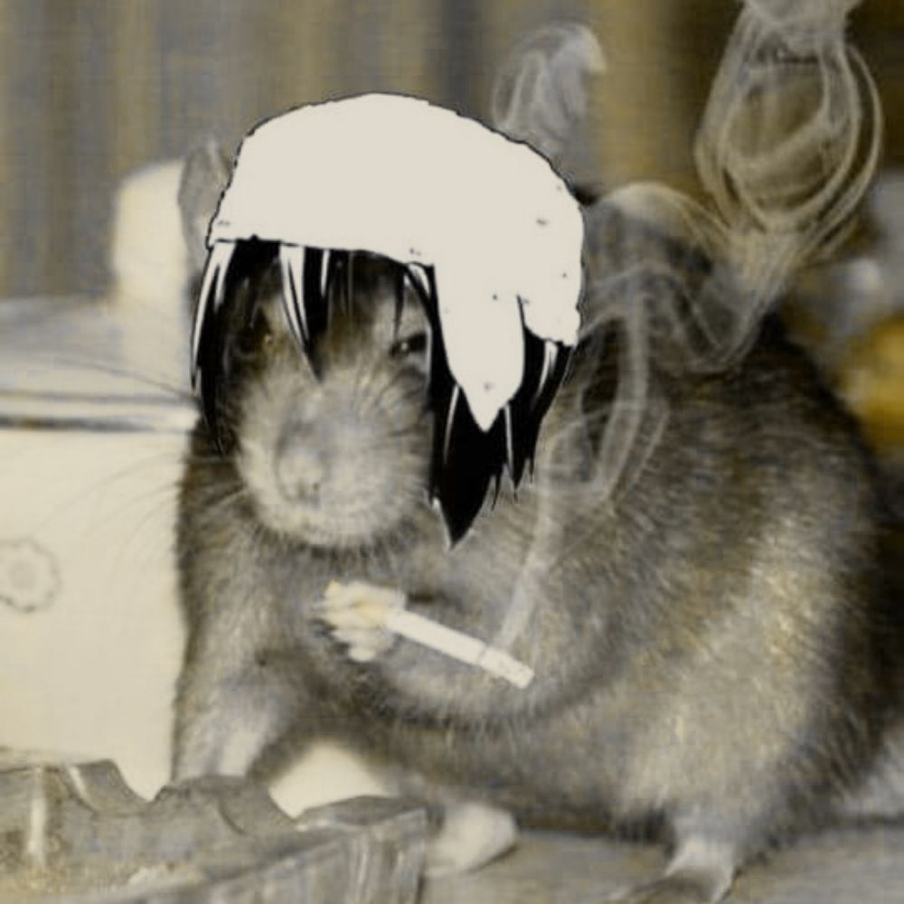 Hy
