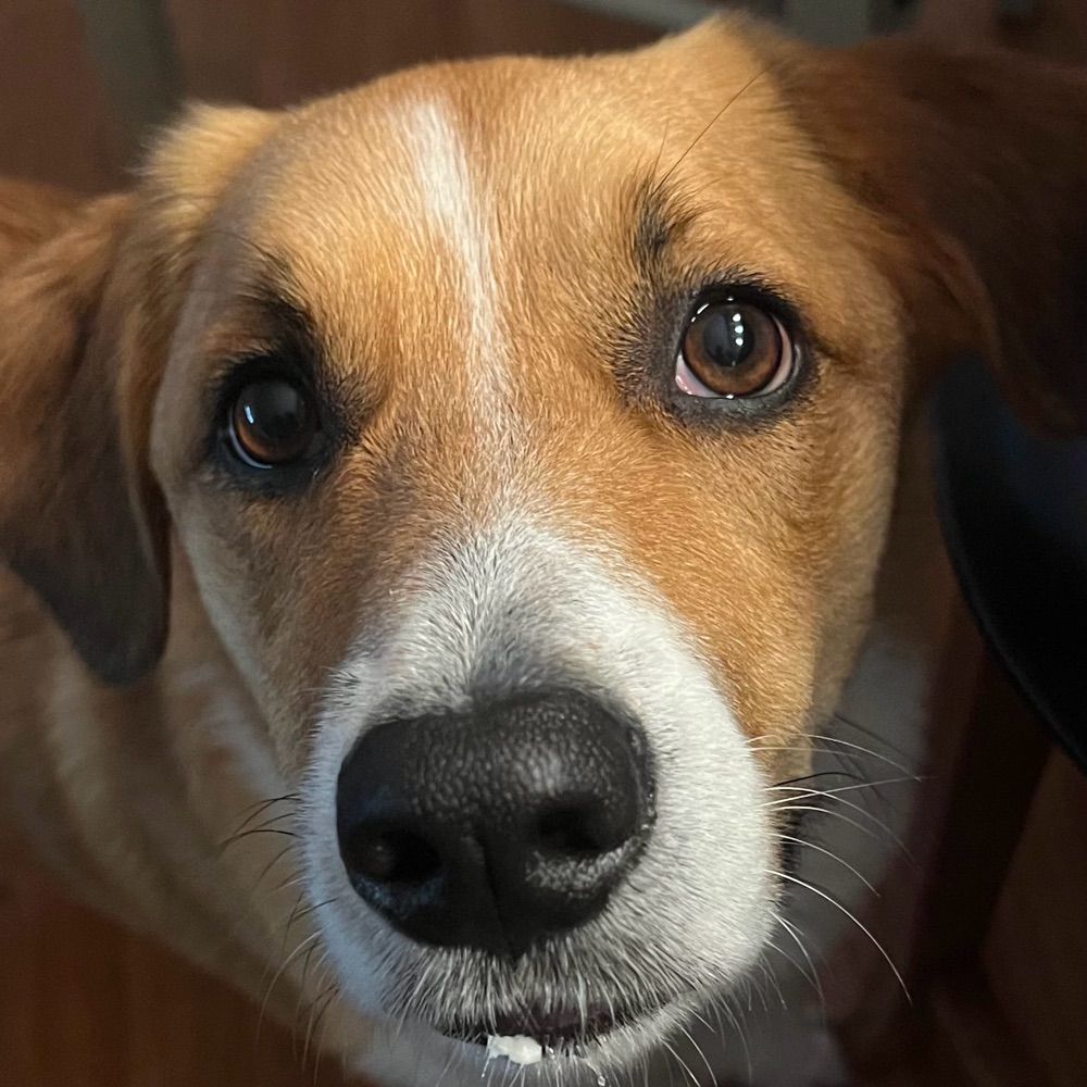 Pete
