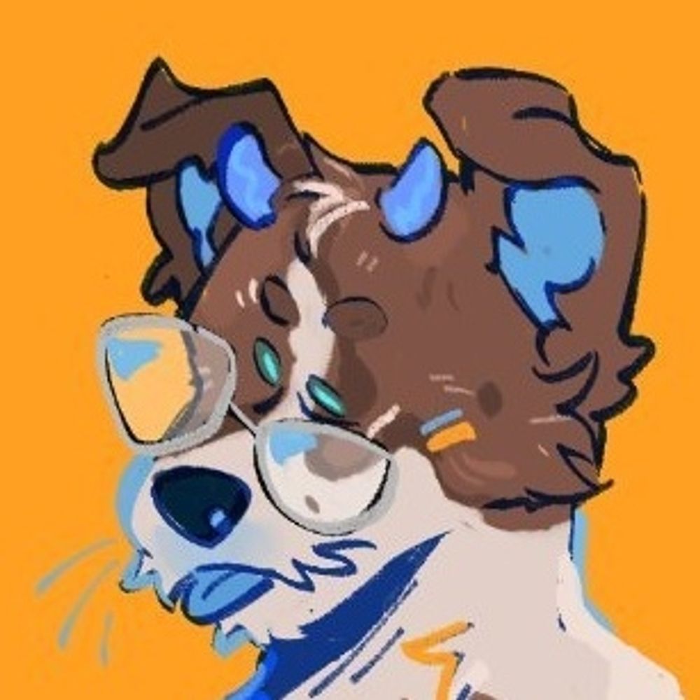 Shep's Avatar