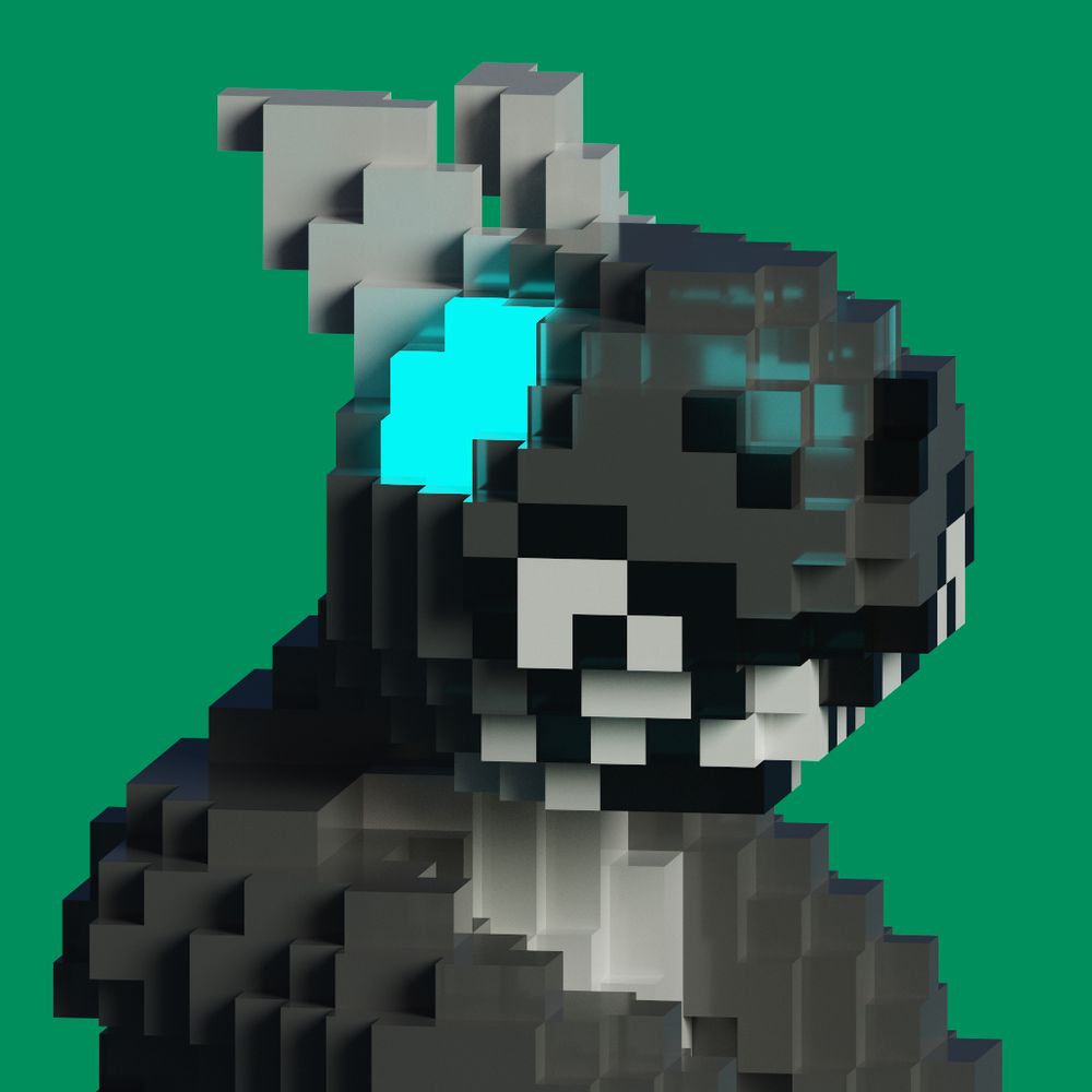 BunnyNabbit
