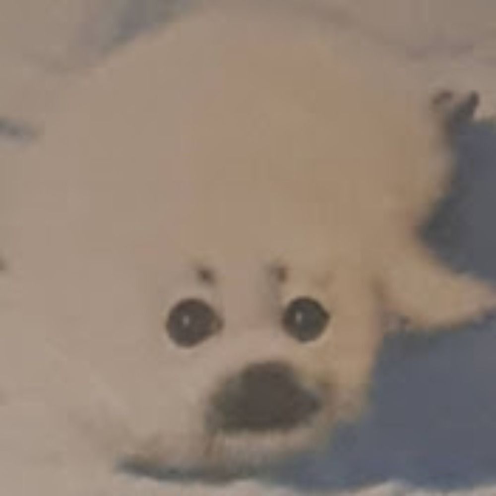 PolarFritz