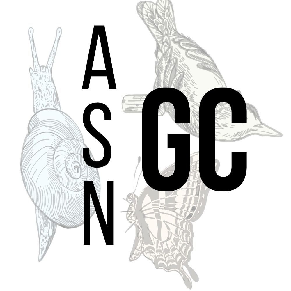 ASN Grads