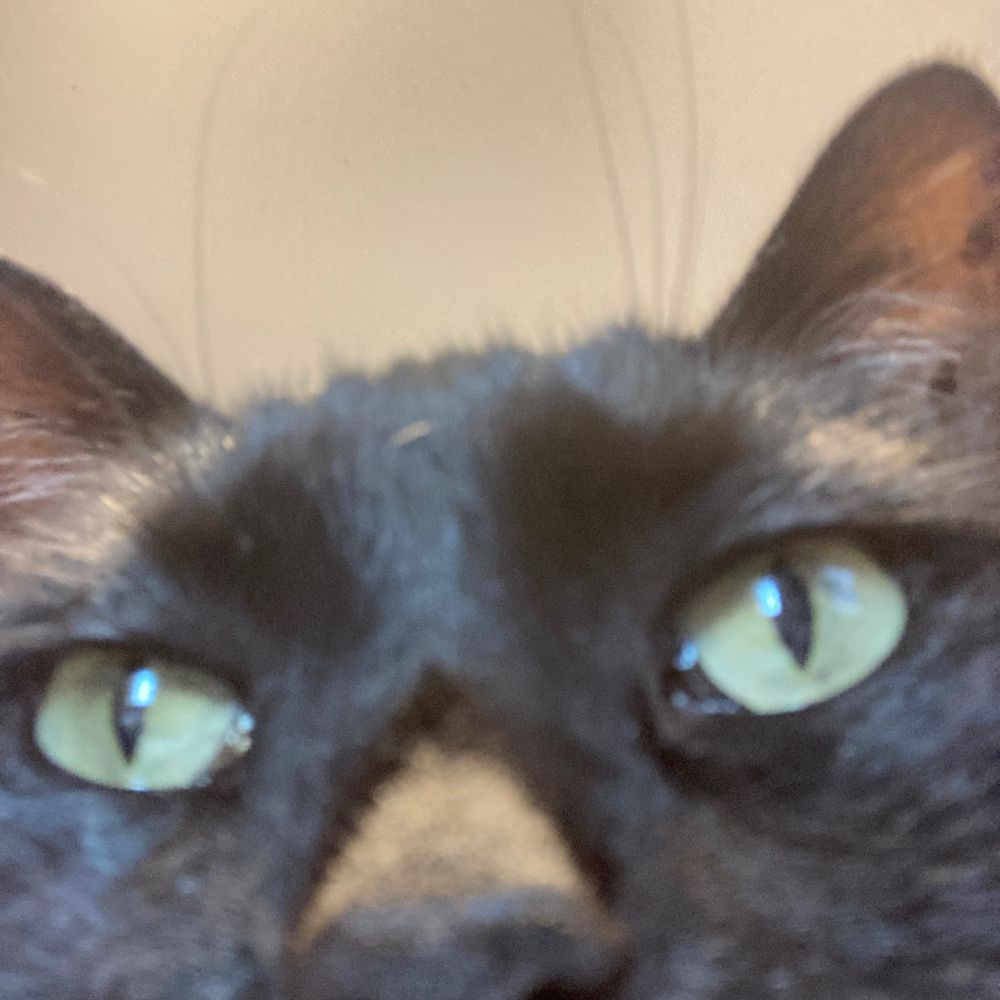 PJ