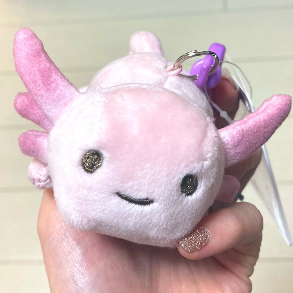 やよ