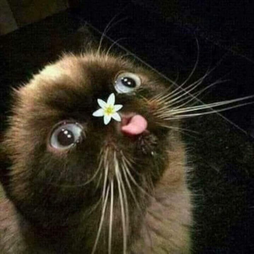 J u u
