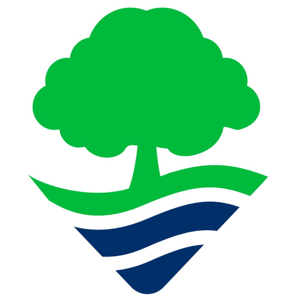 Shepperton Village Fair