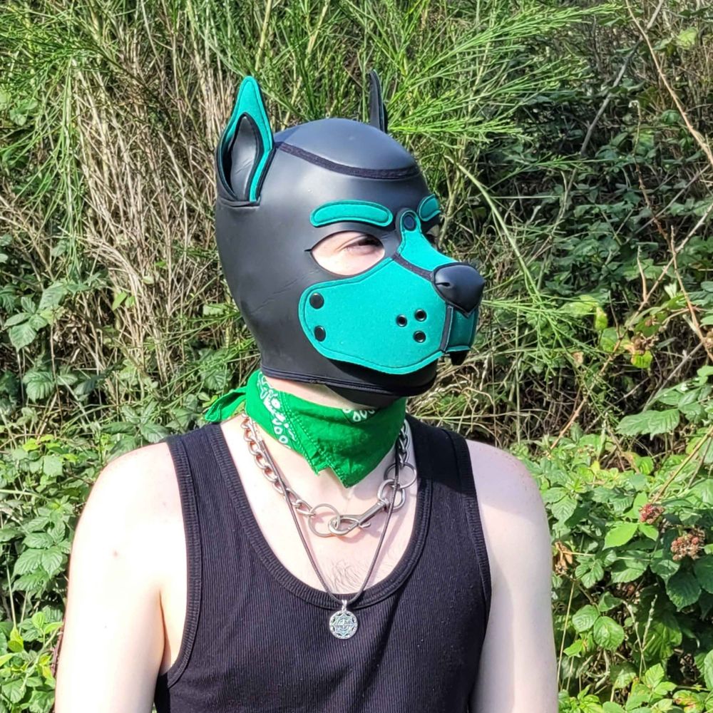 Pup Foggo