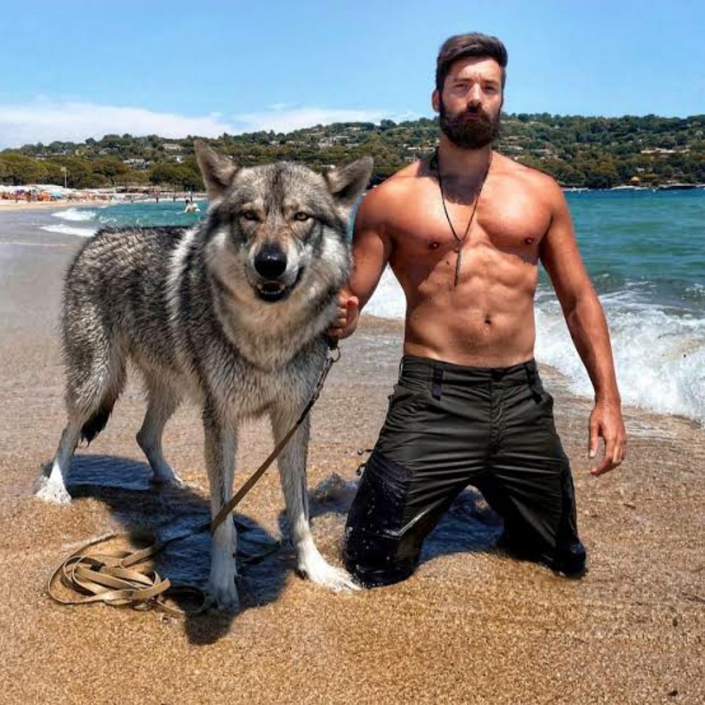 Wolf Instinct