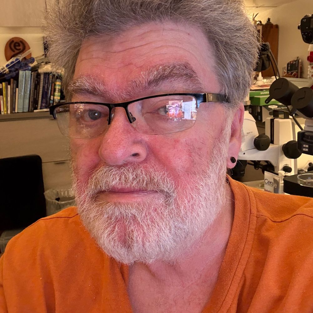 Ed Harp