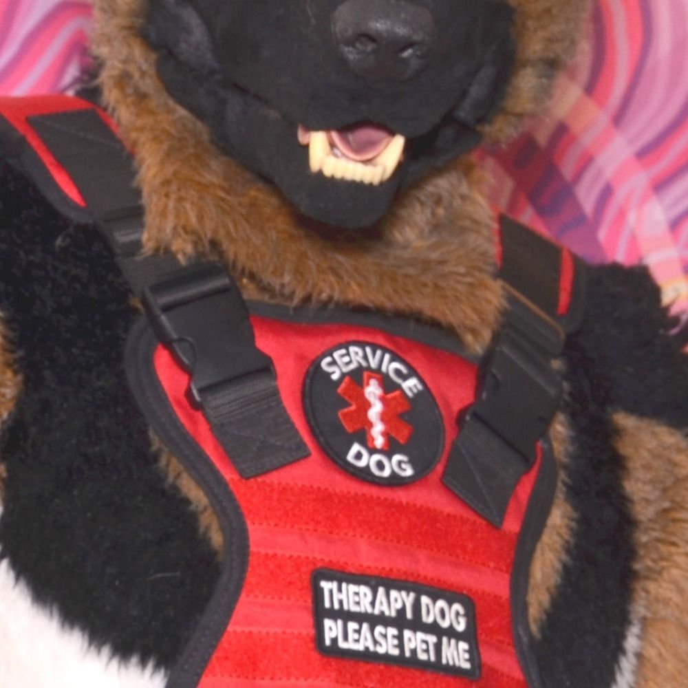 Spicy Service Dog 🐕‍🦺