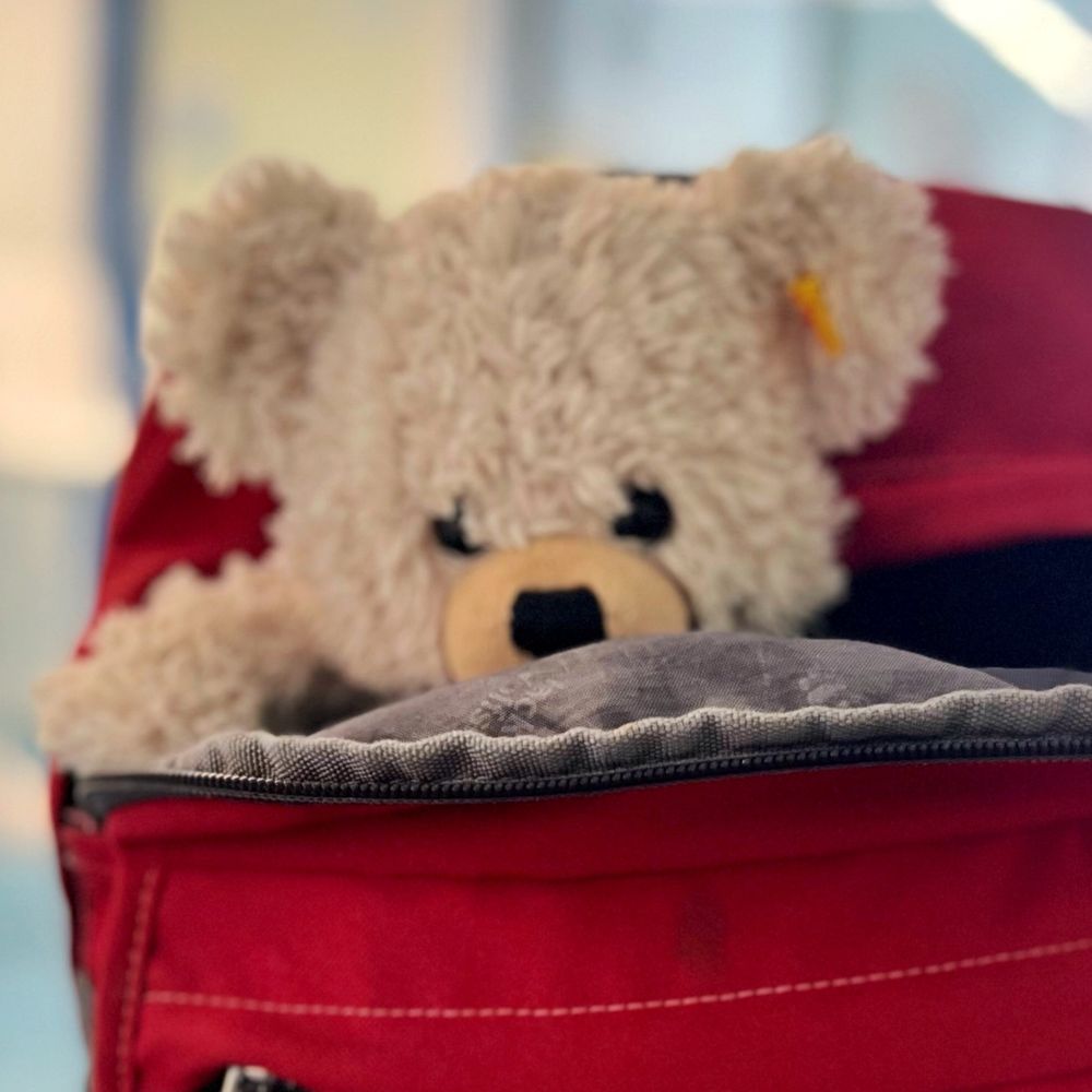 Lisa Bear