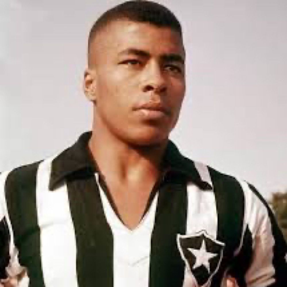 Alvinegão ★彡