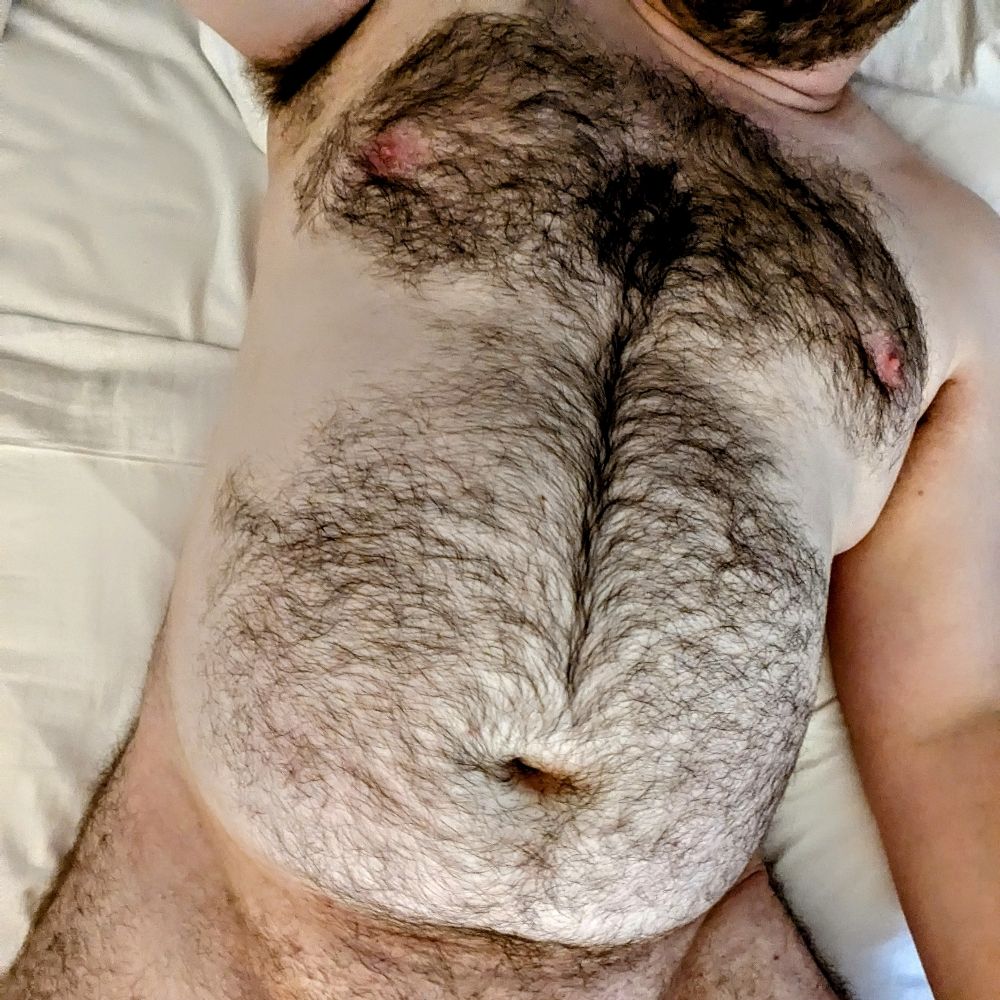 _XeroxBear_