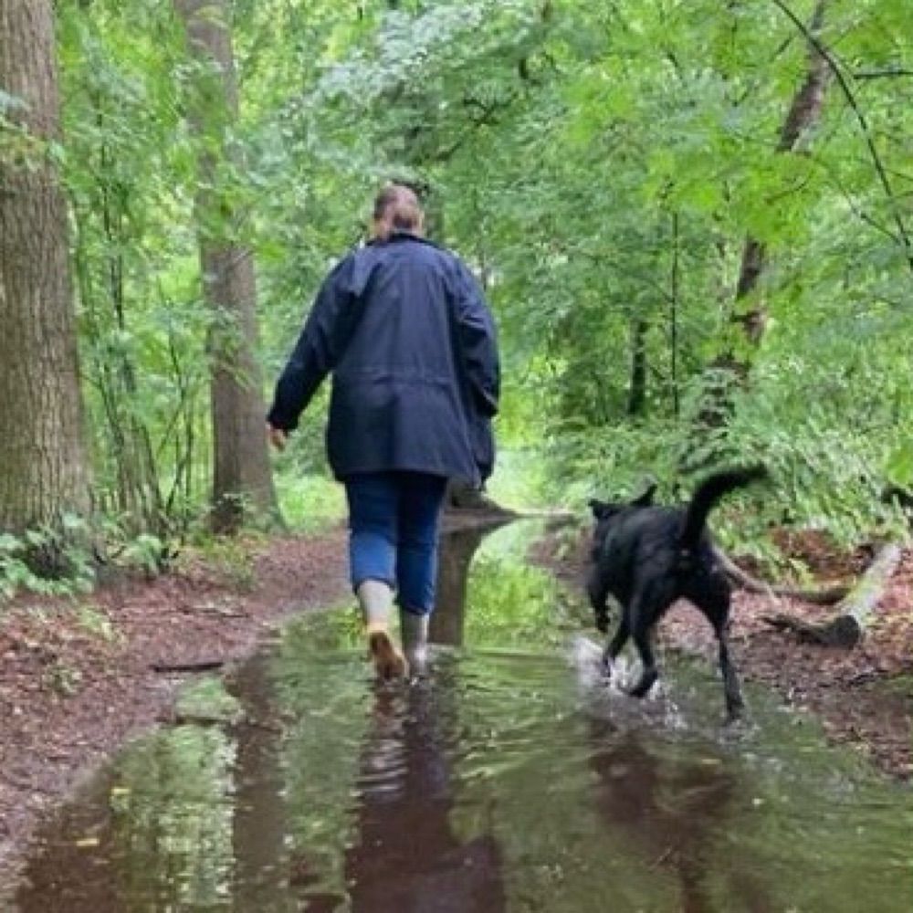 Marga 🇳🇱🐕👩‍🎨🌳