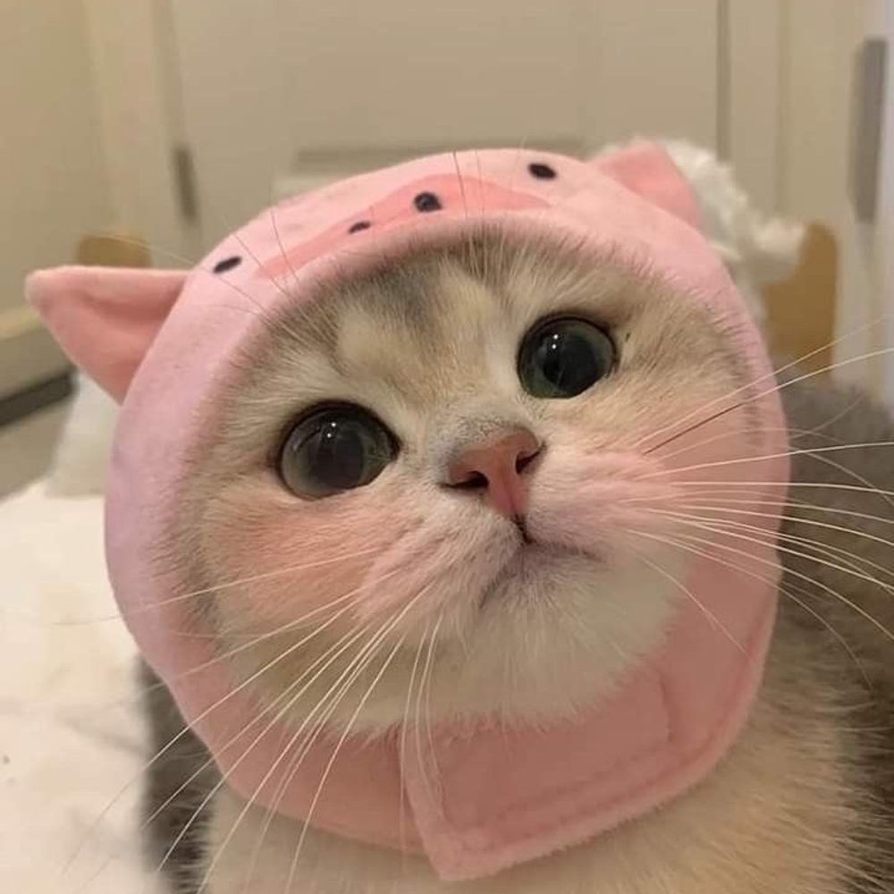 eyiii