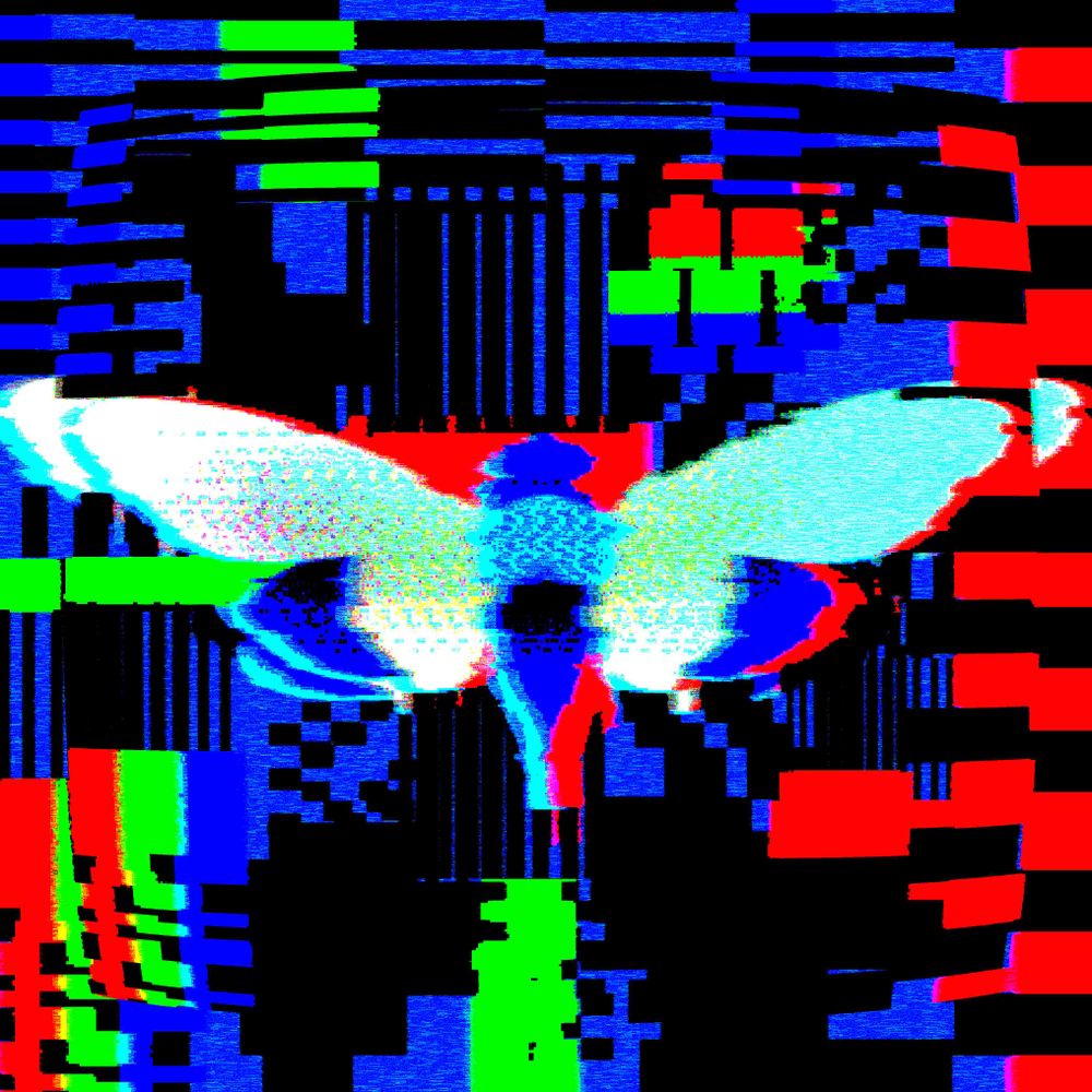 // [..DATACICADA..]