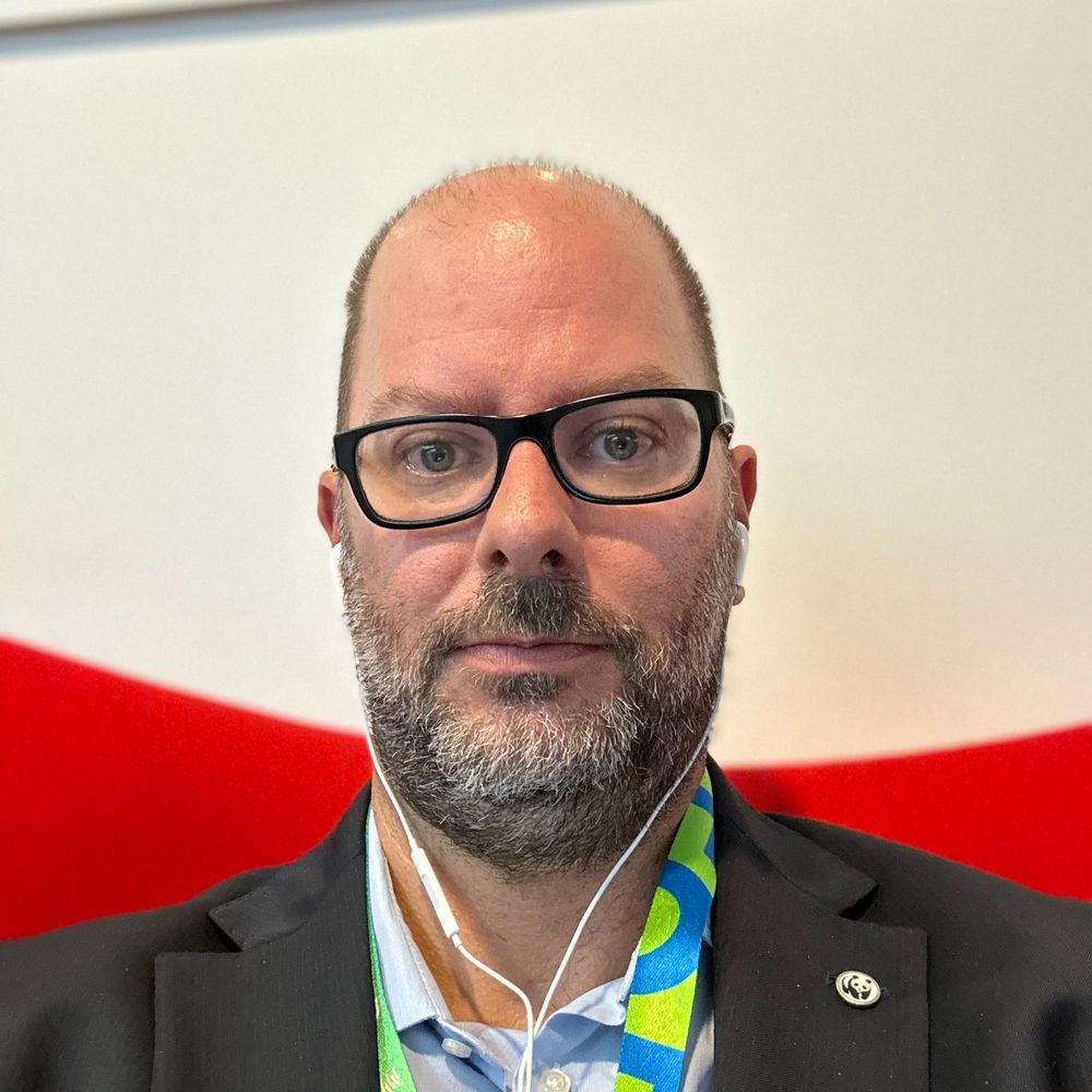 Luca Chinotti