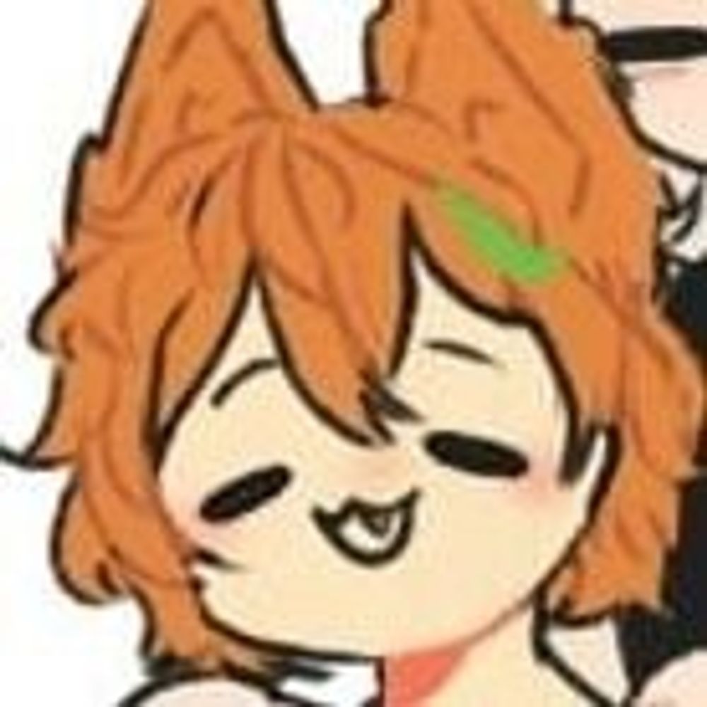 Shiba ♨️