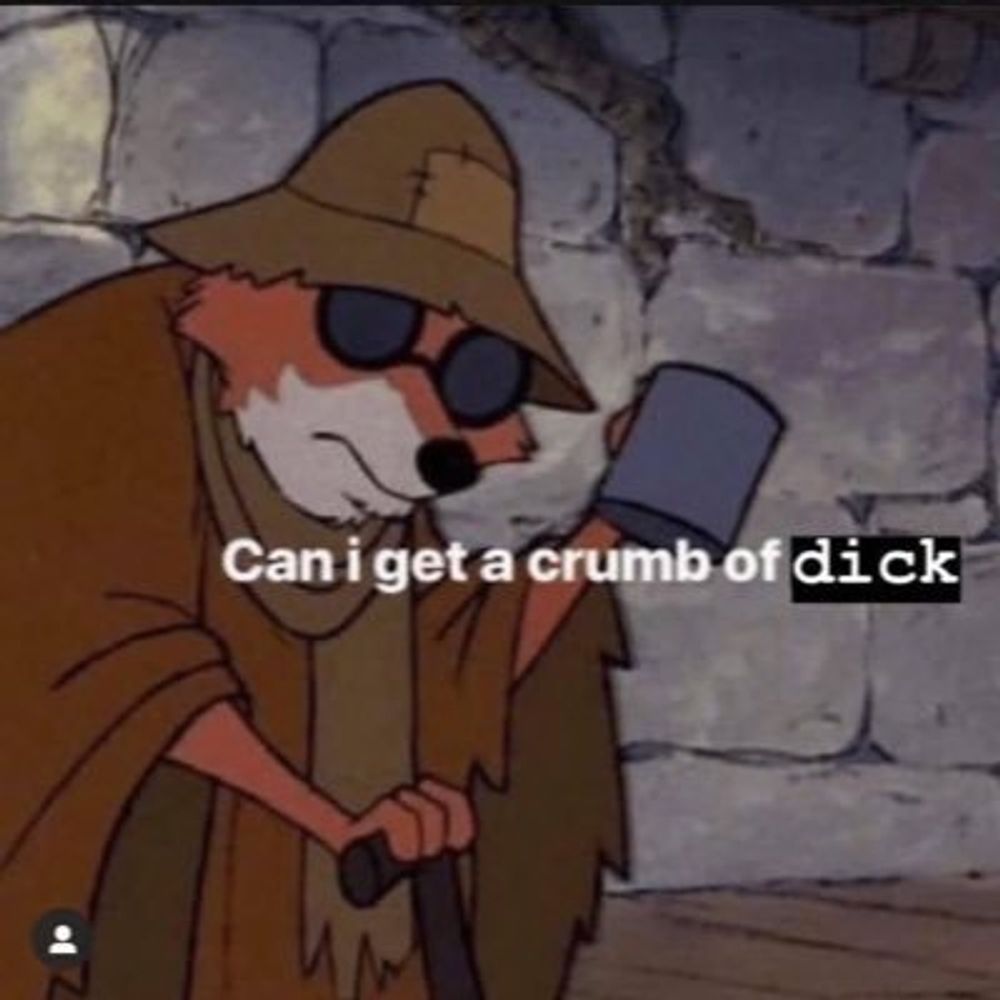 Un Zorro Cachondo