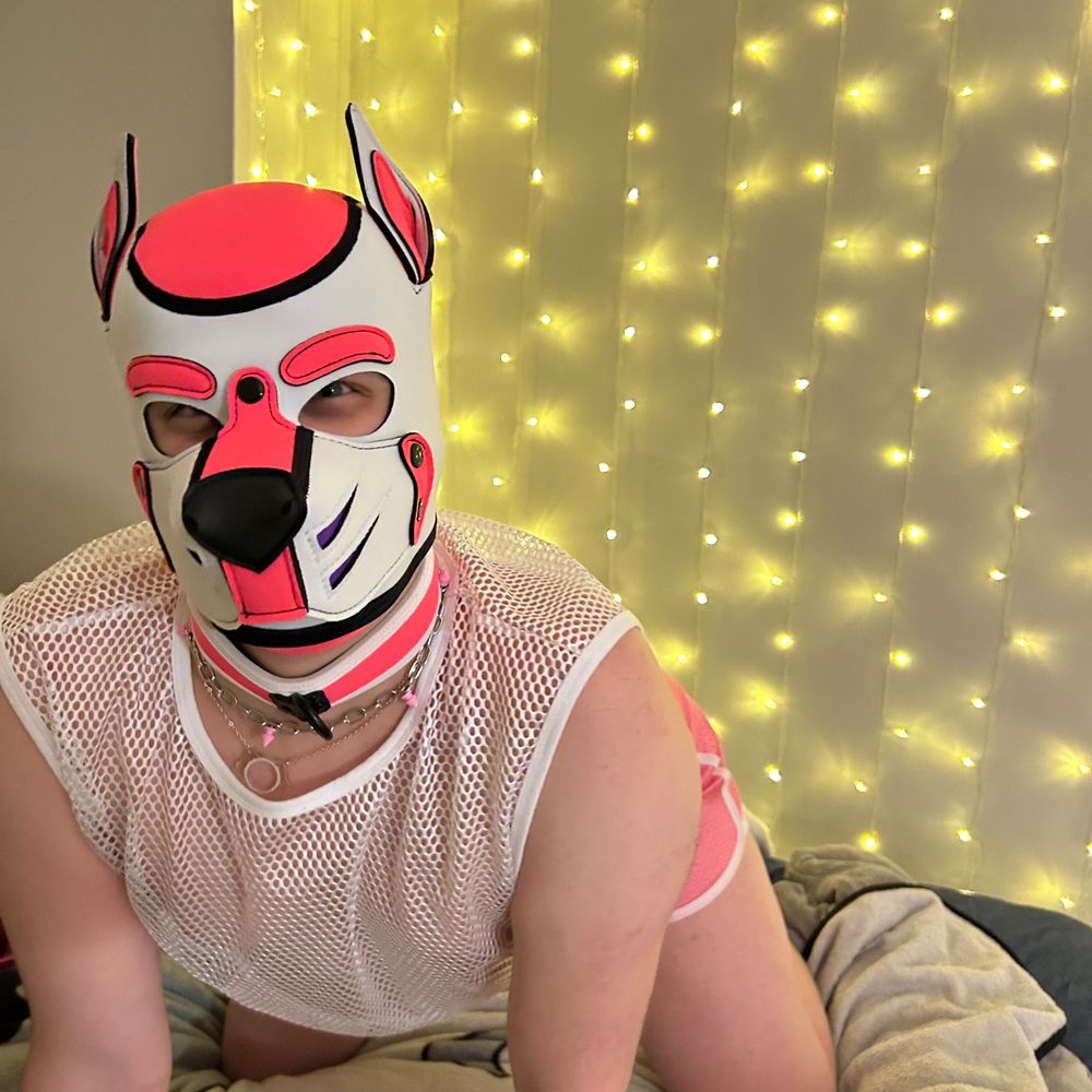Pup Fancy
