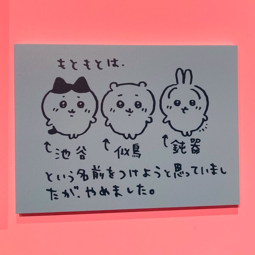 野狗