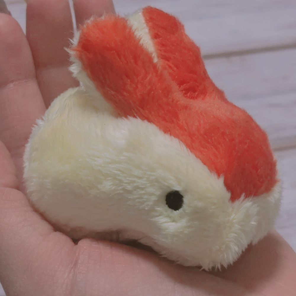竹田きのこ
