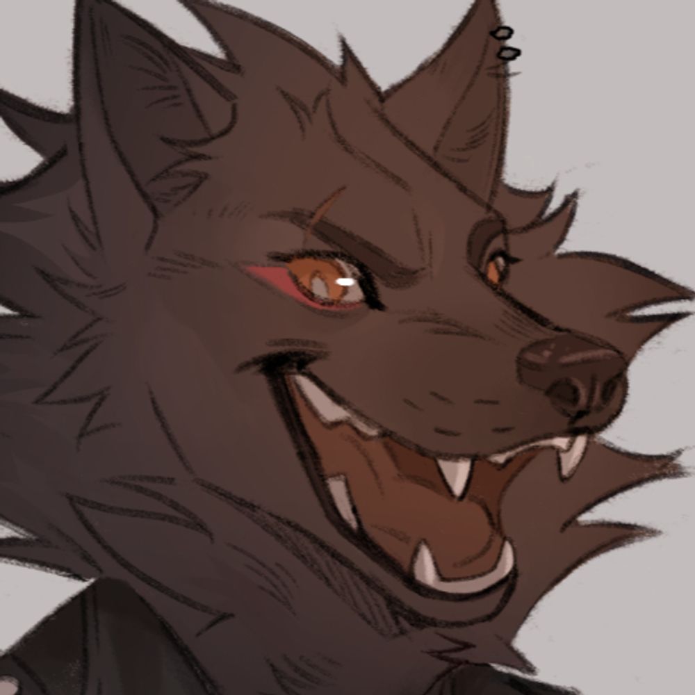 HAWKE 🐺