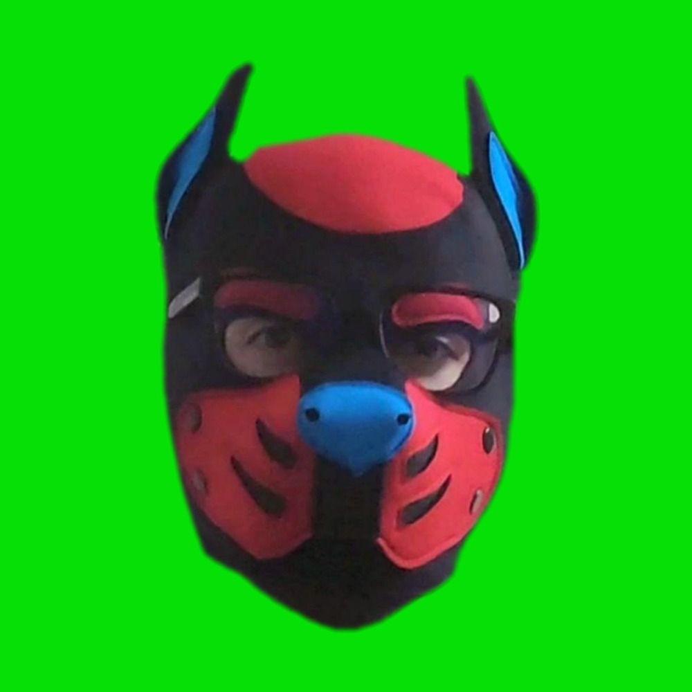Pup Luka