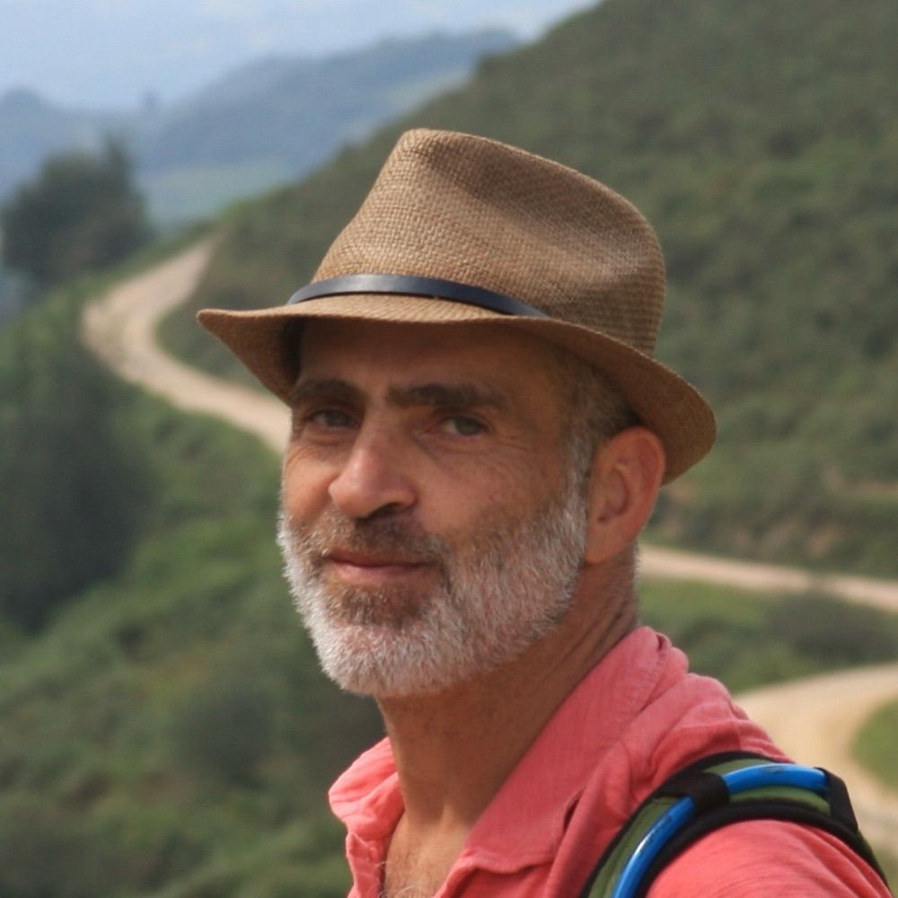 Kamran Diba