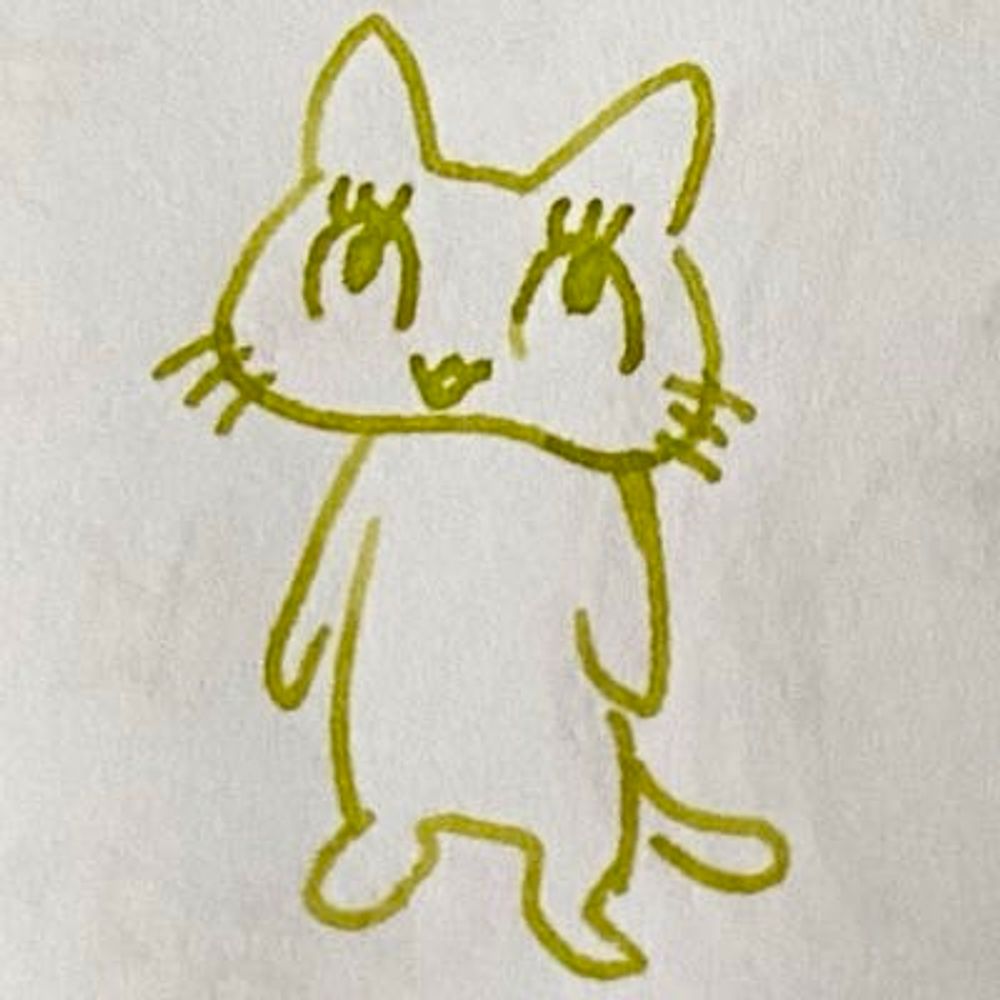 猫を愛する主婦