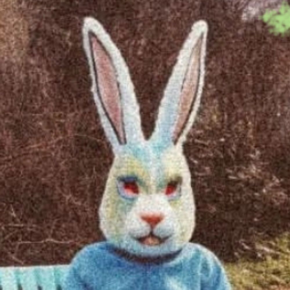 Bunny Boy