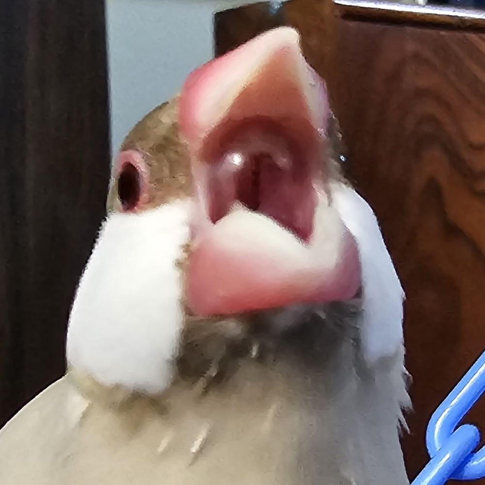れいこ